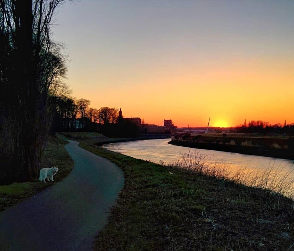 B&B Close2Ghent Heusden Zewnętrze zdjęcie