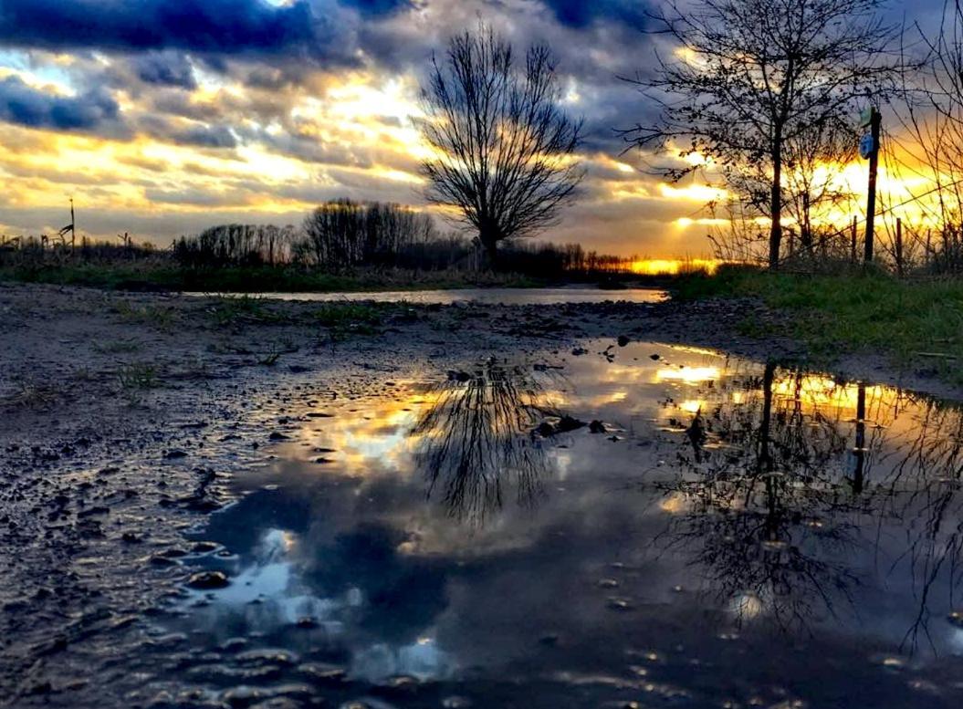 B&B Close2Ghent Heusden Zewnętrze zdjęcie
